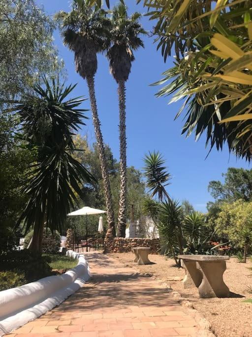 Villa Casa Rosada - Gorgeous Family Finca Near Santa Gertrudis à Santa Gertrudis  Extérieur photo