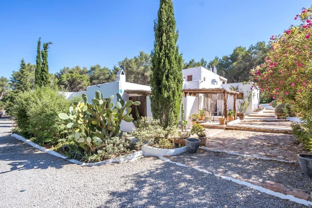Villa Casa Rosada - Gorgeous Family Finca Near Santa Gertrudis à Santa Gertrudis  Extérieur photo